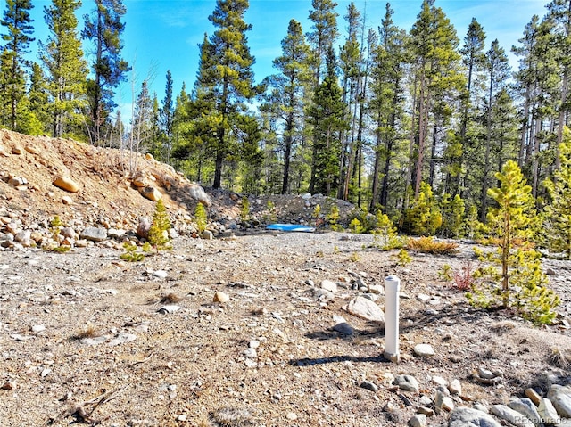 336 Venture Rd, Fairplay, CO 80440 - photo 21