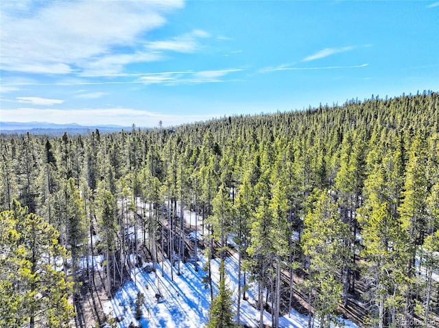 336 Venture Rd, Fairplay, CO 80440 - photo 22