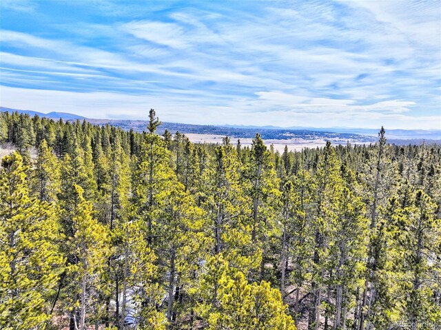 336 Venture Rd, Fairplay, CO 80440 - photo 23
