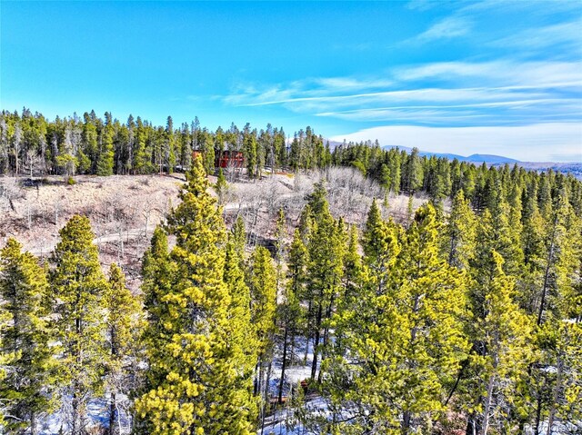 336 Venture Rd, Fairplay, CO 80440 - photo 24