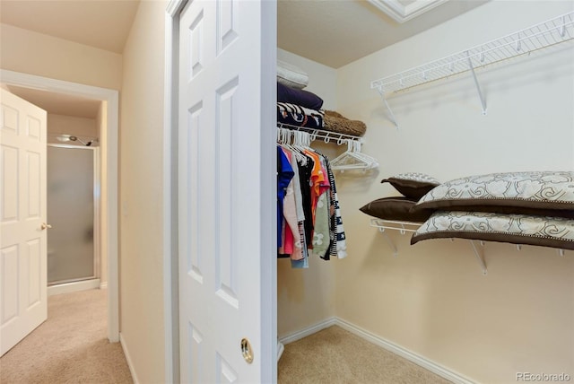 spacious closet with light colored carpet