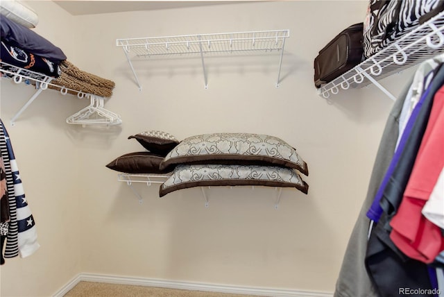 spacious closet featuring carpet flooring