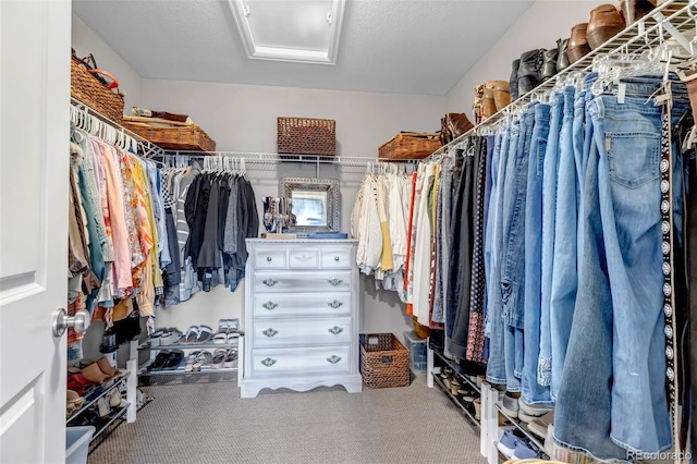 3778 Happyheart Way, Castle Rock, CO 80109 - spacious closet featuring attic access and carpet
