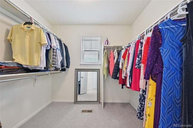 12854 Clearview St, Firestone, CO 80504 - spacious closet with carpet floors