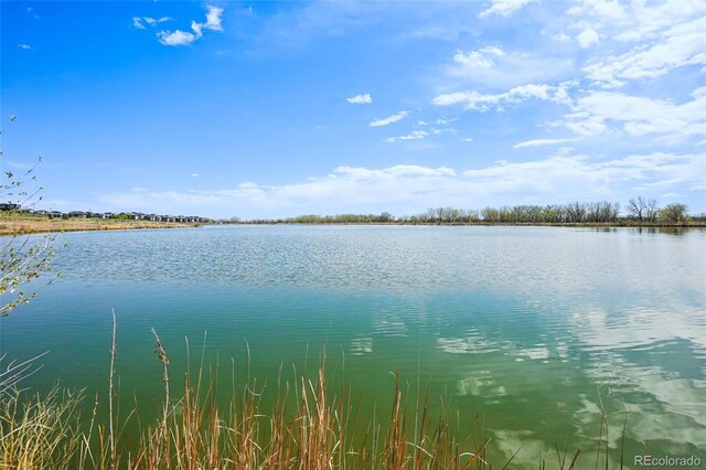 12854 Clearview St, Firestone, CO 80504 - water view
