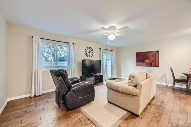 living room featuring ceiling fan and light wood-type flooring