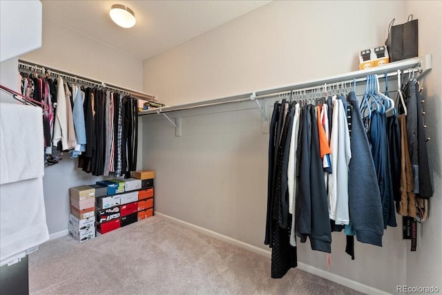 spacious closet featuring carpet
