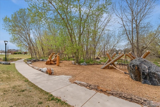 view of jungle gym