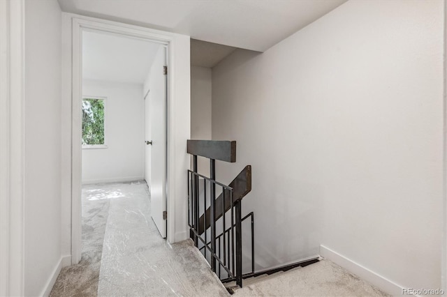 stairway with carpet floors