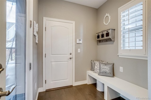8444 E 55th Pl, Denver, CO 80238 - mudroom featuring dark wood-style floors and plenty of natural light