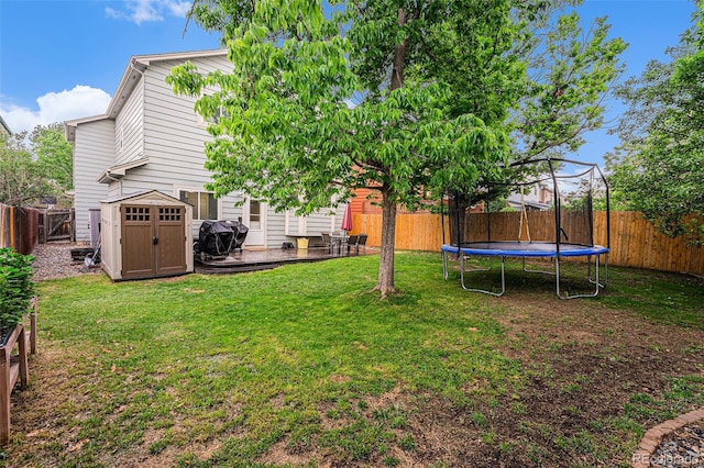 12261 N Holly Way, Brighton, CO 80602 - view of yard with a trampoline