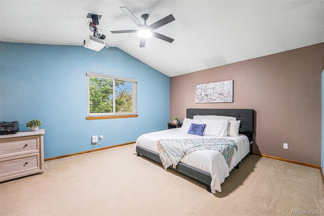 12261 N Holly Way, Brighton, CO 80602 - photo 11