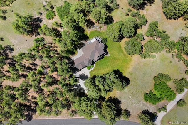 407 S White Tail Dr, Franktown, CO 80116 - photo 43