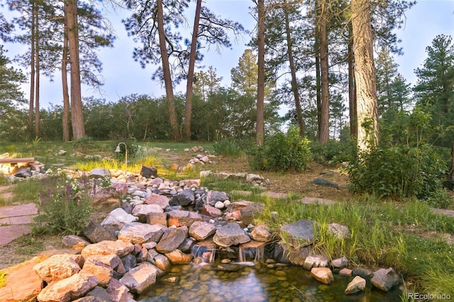 407 S White Tail Dr, Franktown, CO 80116 - photo 37
