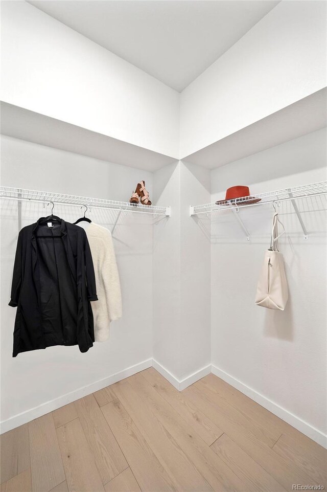 walk in closet with wood-type flooring