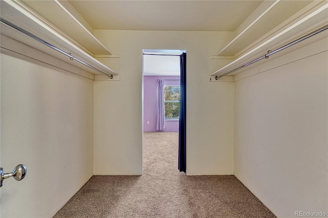 spacious closet with carpet flooring