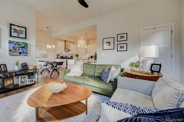 living room with hardwood / wood-style flooring and sink