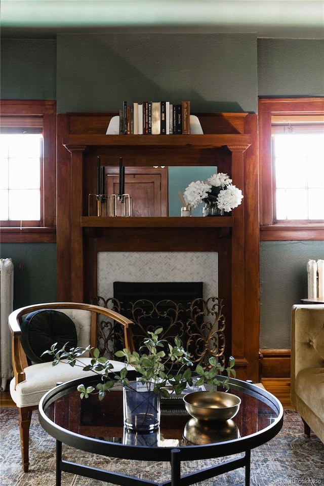 living room with radiator, plenty of natural light, and wood-type flooring