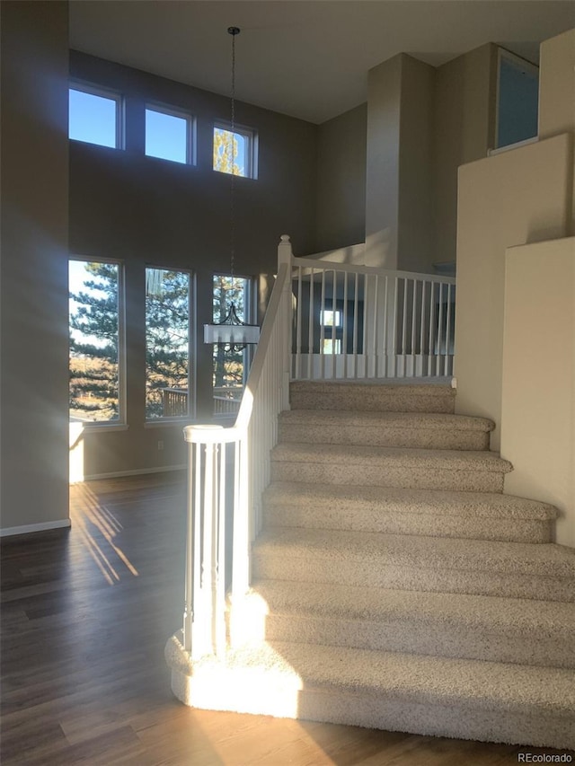 staircase with a towering ceiling and hardwood / wood-style flooring