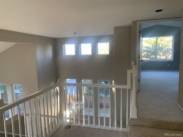 hall with carpet floors and a wealth of natural light