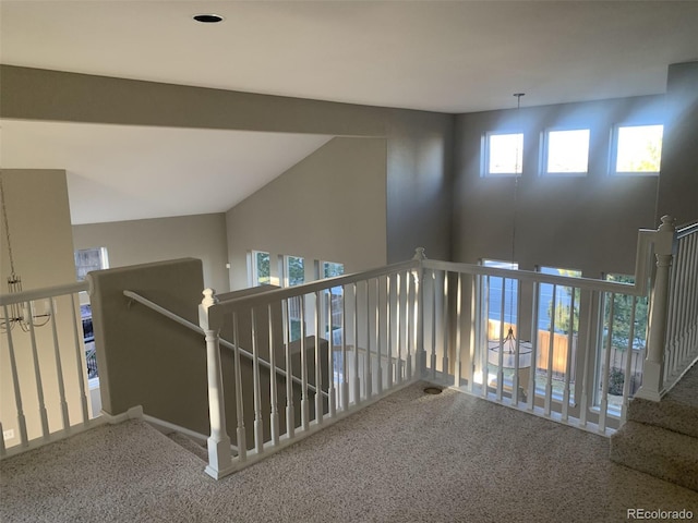 hall featuring carpet floors