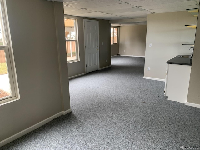 carpeted empty room featuring sink and a drop ceiling