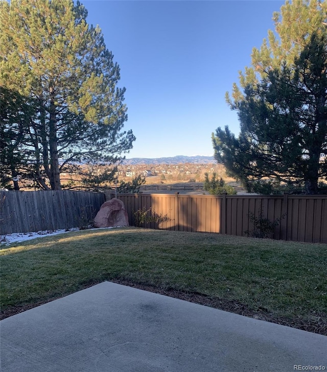 view of yard featuring a patio