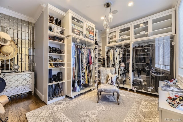 walk in closet with dark hardwood / wood-style flooring