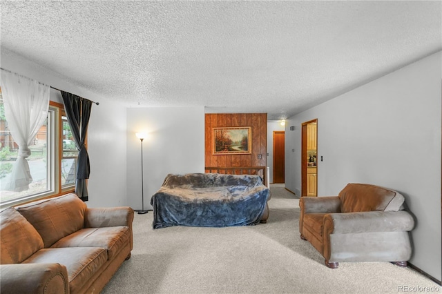 1204 W Lorraine Ave, Woodland Park, CO 80863 - photo 3