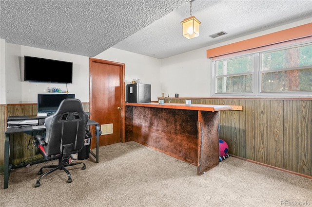 1204 W Lorraine Ave, Woodland Park, CO 80863 - photo 17