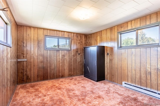 13705 County Road 45, Coaldale, CO 81222 - carpeted spare room with a baseboard radiator and wood walls