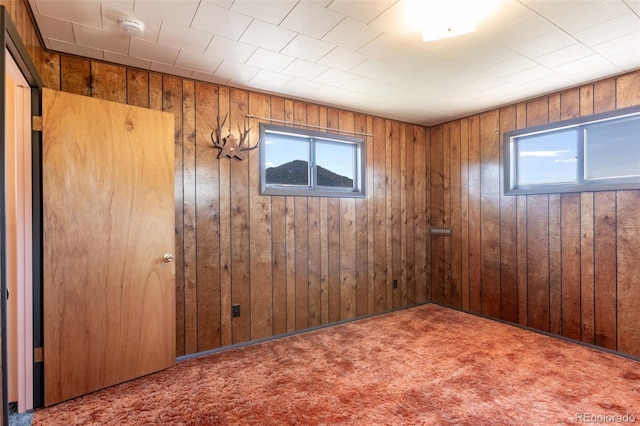 13705 County Road 45, Coaldale, CO 81222 - unfurnished room with healthy amount of natural light, a smoke detector, wood walls, and carpet