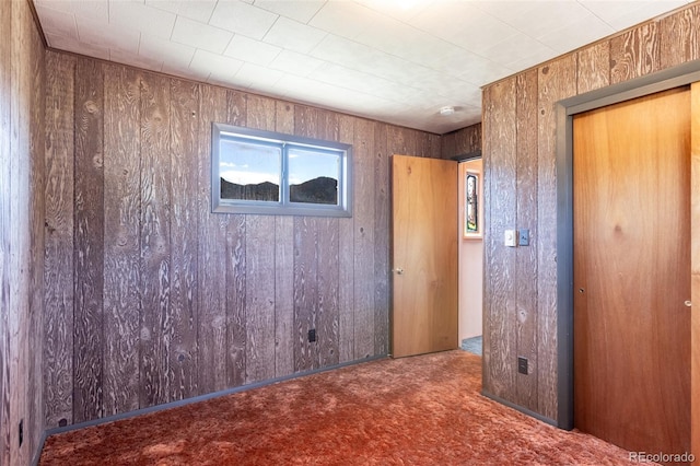 13705 County Road 45, Coaldale, CO 81222 - unfurnished bedroom with carpet, wooden walls, and a closet