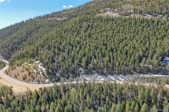 00 Saddleback, Evergreen CO, 80439 land for sale