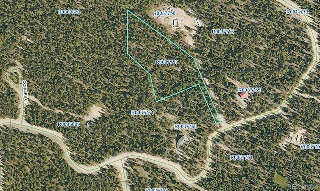 000 County Road 14-a, Fairplay CO, 80440 land for sale