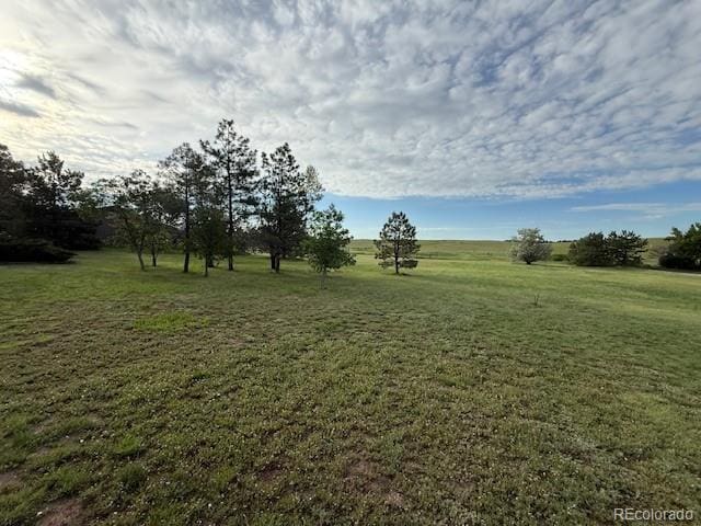 17852 E Long Ave, Centennial, CO 80016 - view of green lawn featuring a rural view