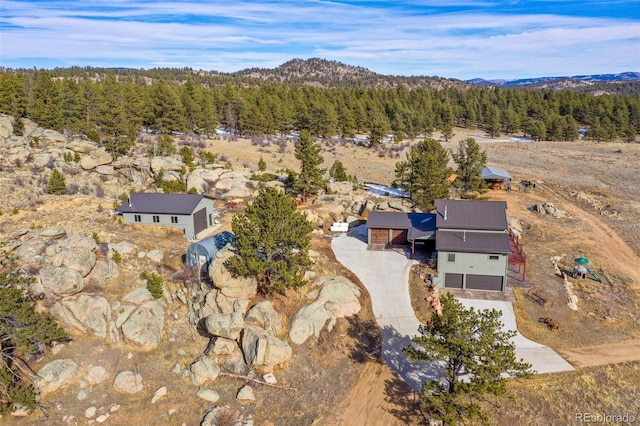 363 Stoll Ranch Rd, Lake George, CO 80827 - photo 4