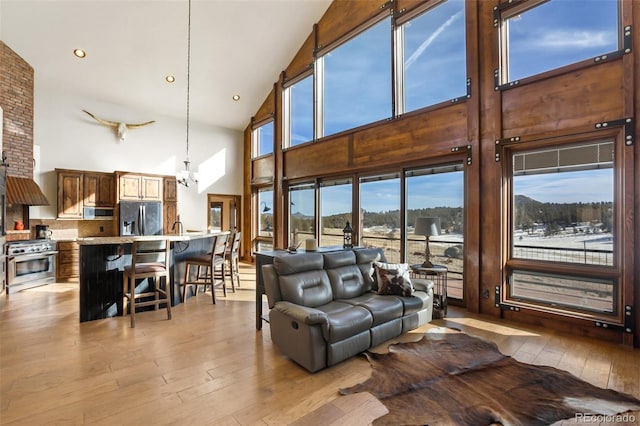 living room with light hardwood / wood-style floors and high vaulted ceiling