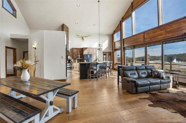 living room with plenty of natural light and high vaulted ceiling