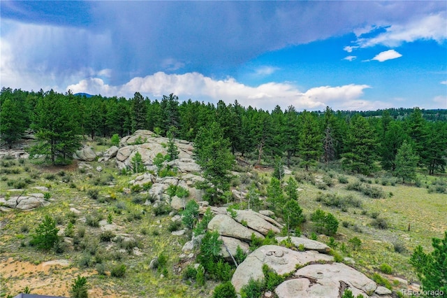 view of landscape