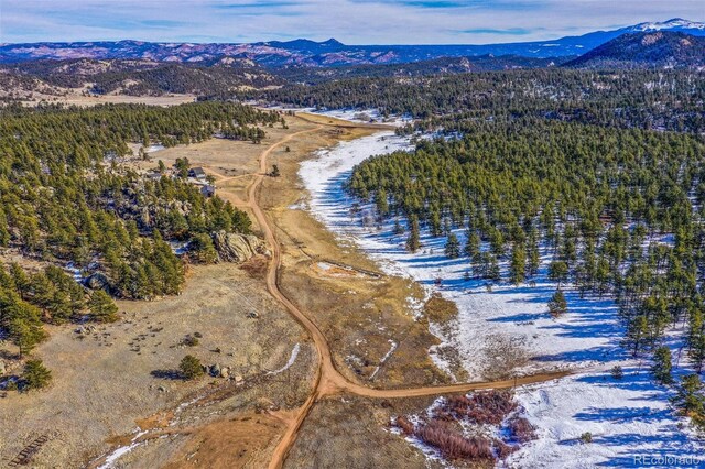 363 Stoll Ranch Rd, Lake George, CO 80827 - photo 50