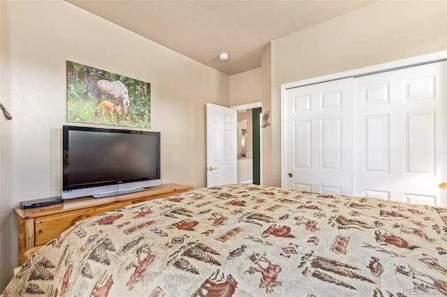 bedroom with vaulted ceiling and a closet