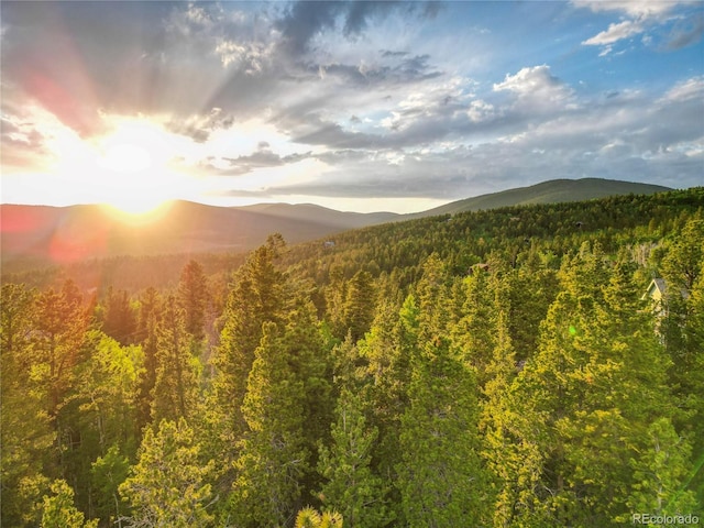 Coyote Cir, Black Hawk, CO 80422