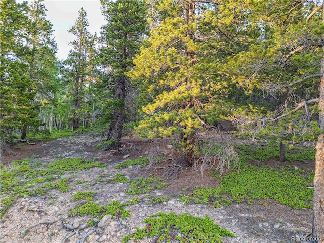 Coyote Cir, Black Hawk, CO 80422