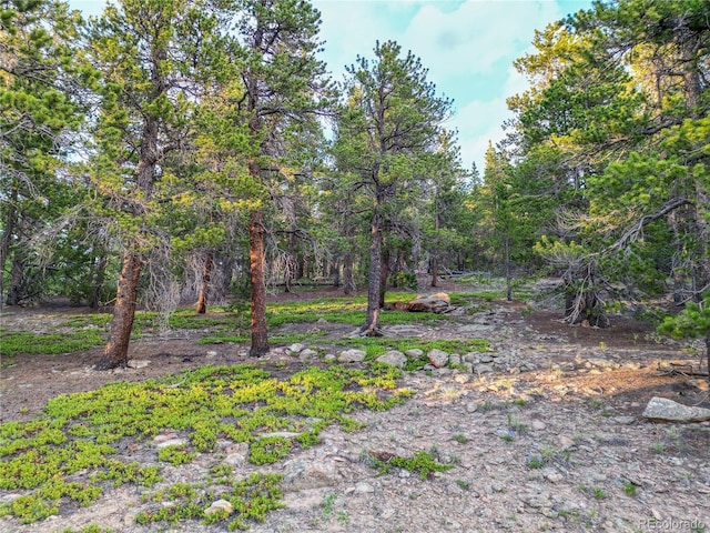 Coyote Cir, Black Hawk, CO 80422
