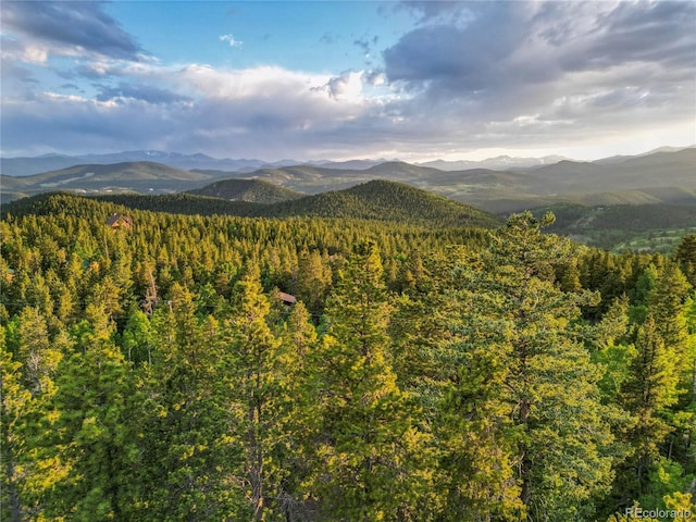 Coyote Cir, Black Hawk, CO 80422