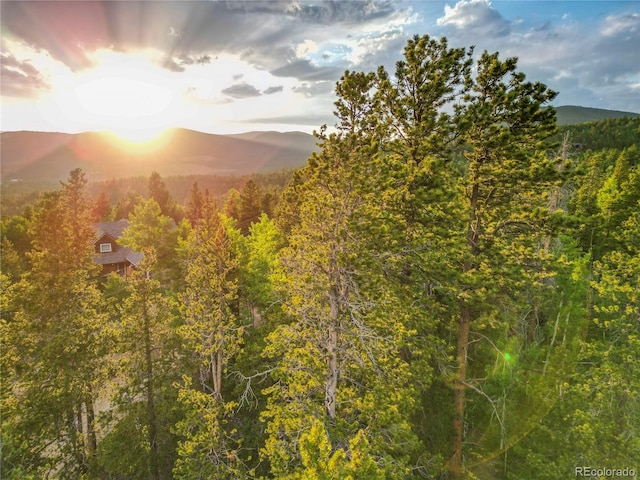 Coyote Cir, Black Hawk, CO 80422