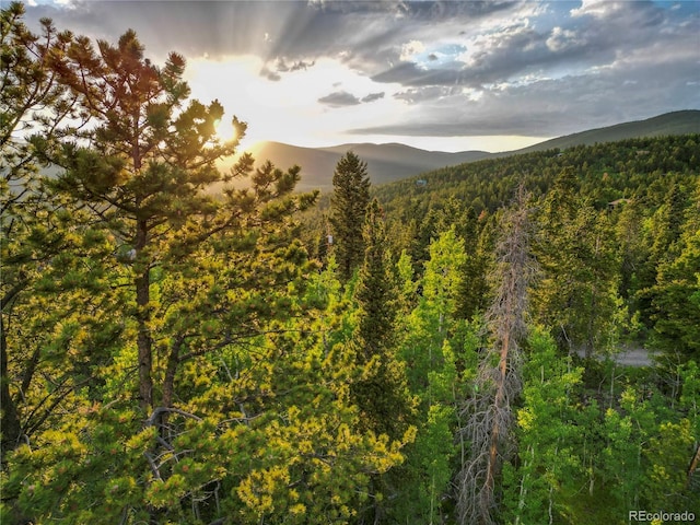 Coyote Cir, Black Hawk, CO 80422