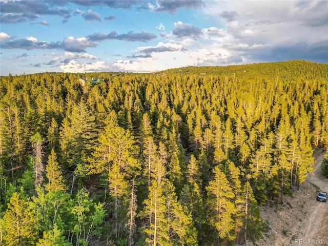 Coyote Cir, Black Hawk, CO 80422