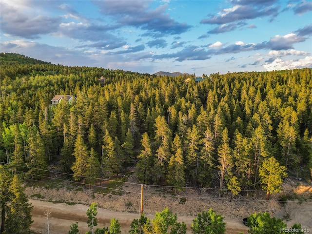 Coyote Cir, Black Hawk, CO 80422